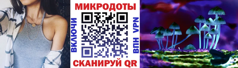 как найти   Кузнецк  Псилоцибиновые грибы GOLDEN TEACHER 